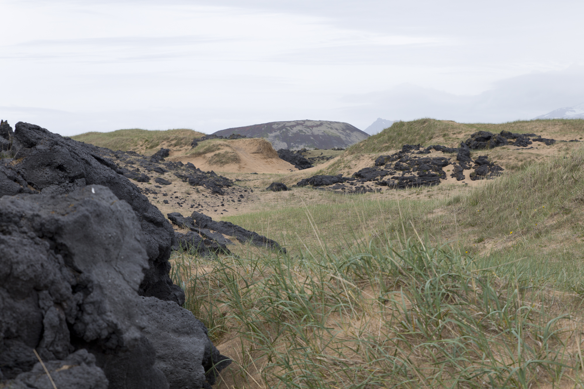 Road Trip Islande - budahraun - www.paperboat.fr