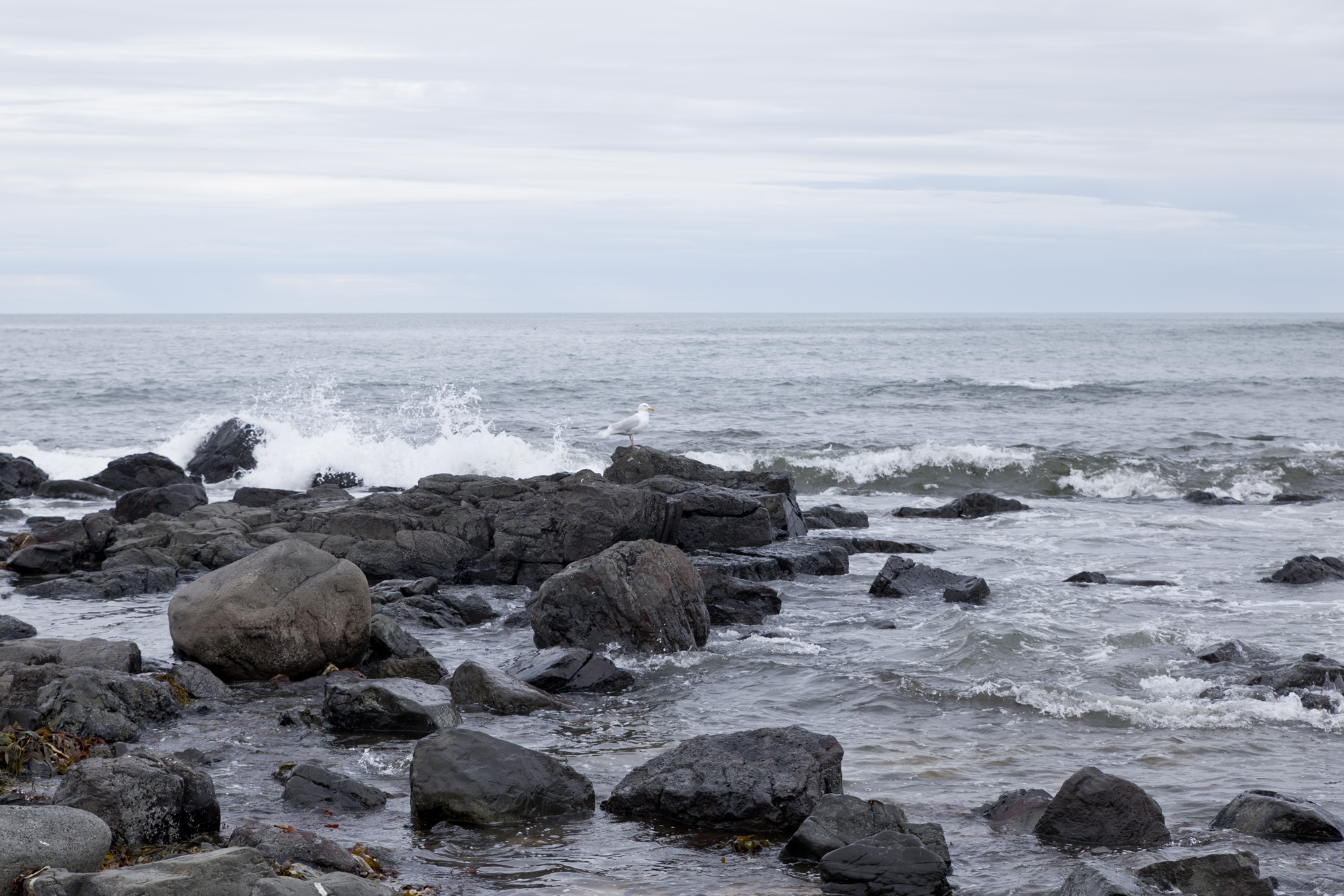 Road Trip Islande - ytri_tunga - www.paperboat.fr