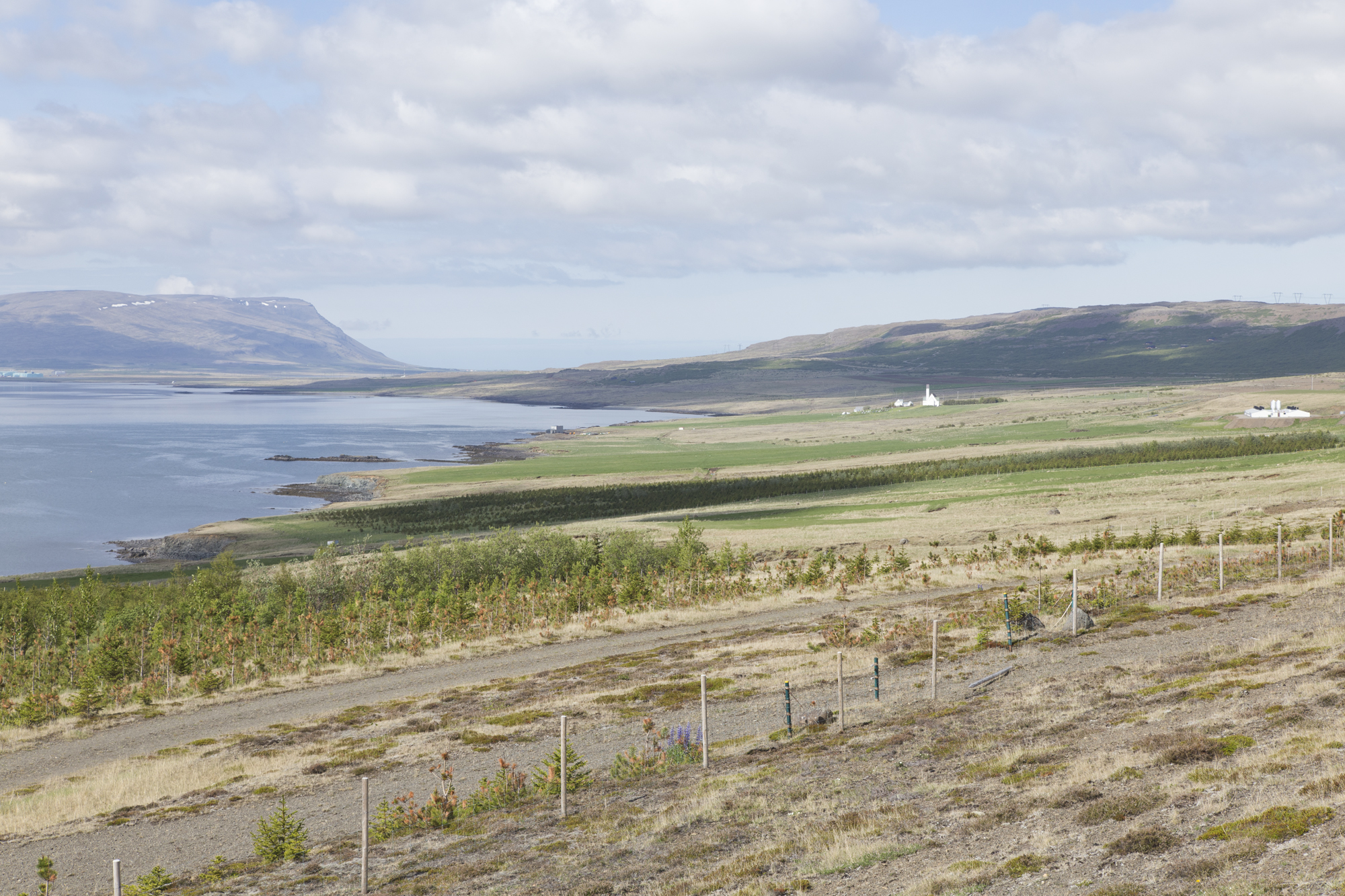 Road Trip Islande - Hvalfjodur - www.paperboat.fr