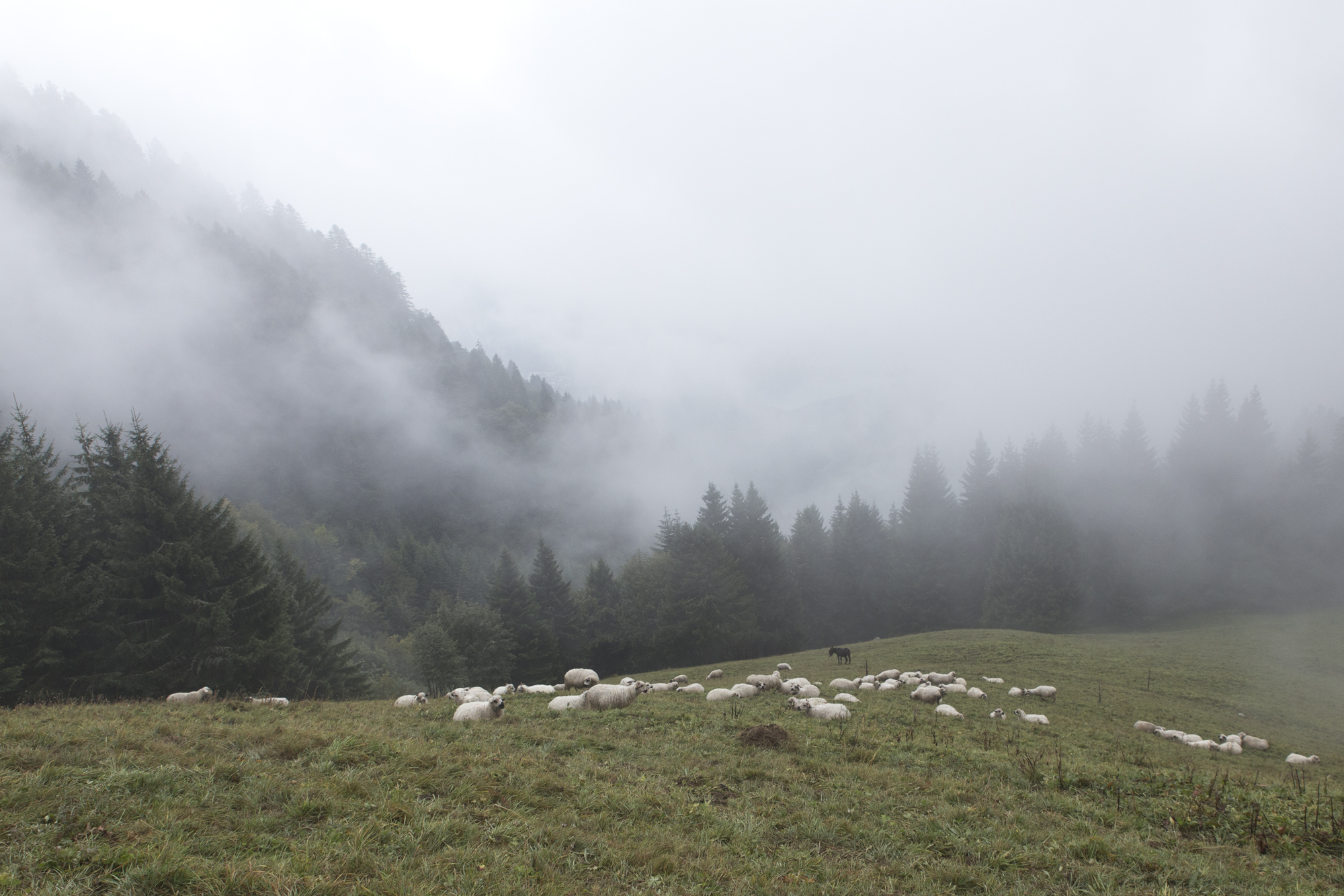Col des Nantets - Annecy - www.paperboat.fr