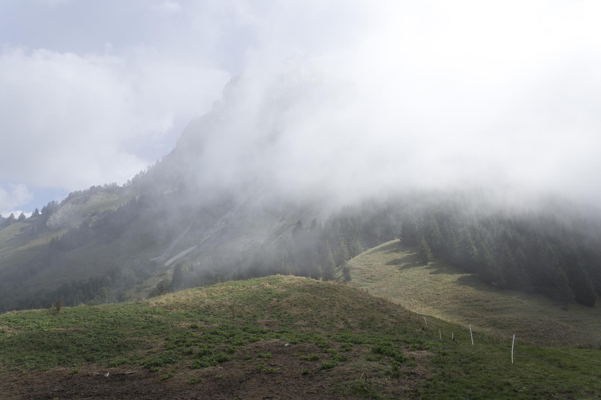 Col des Nantets - Annecy - www.paperboat.fr