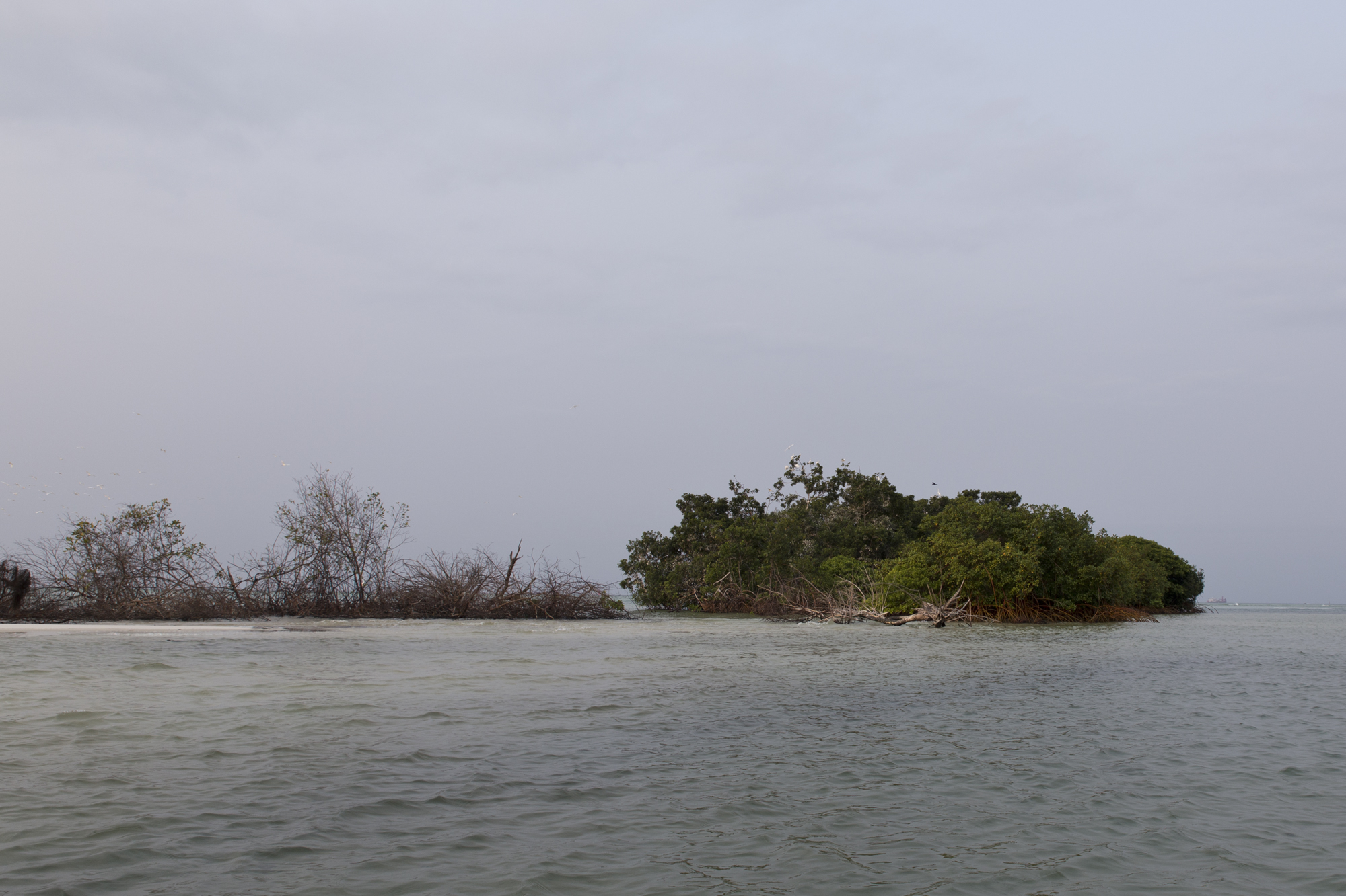 Gabon - Port-gentil - www.paperboat.fr
