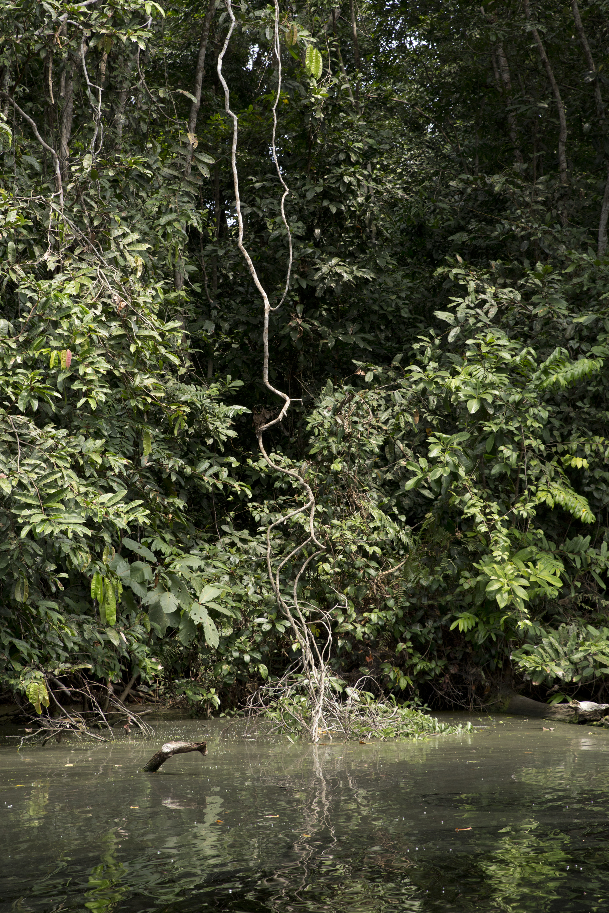 Gabon - Rivière Mpivie - www.paperboat.fr