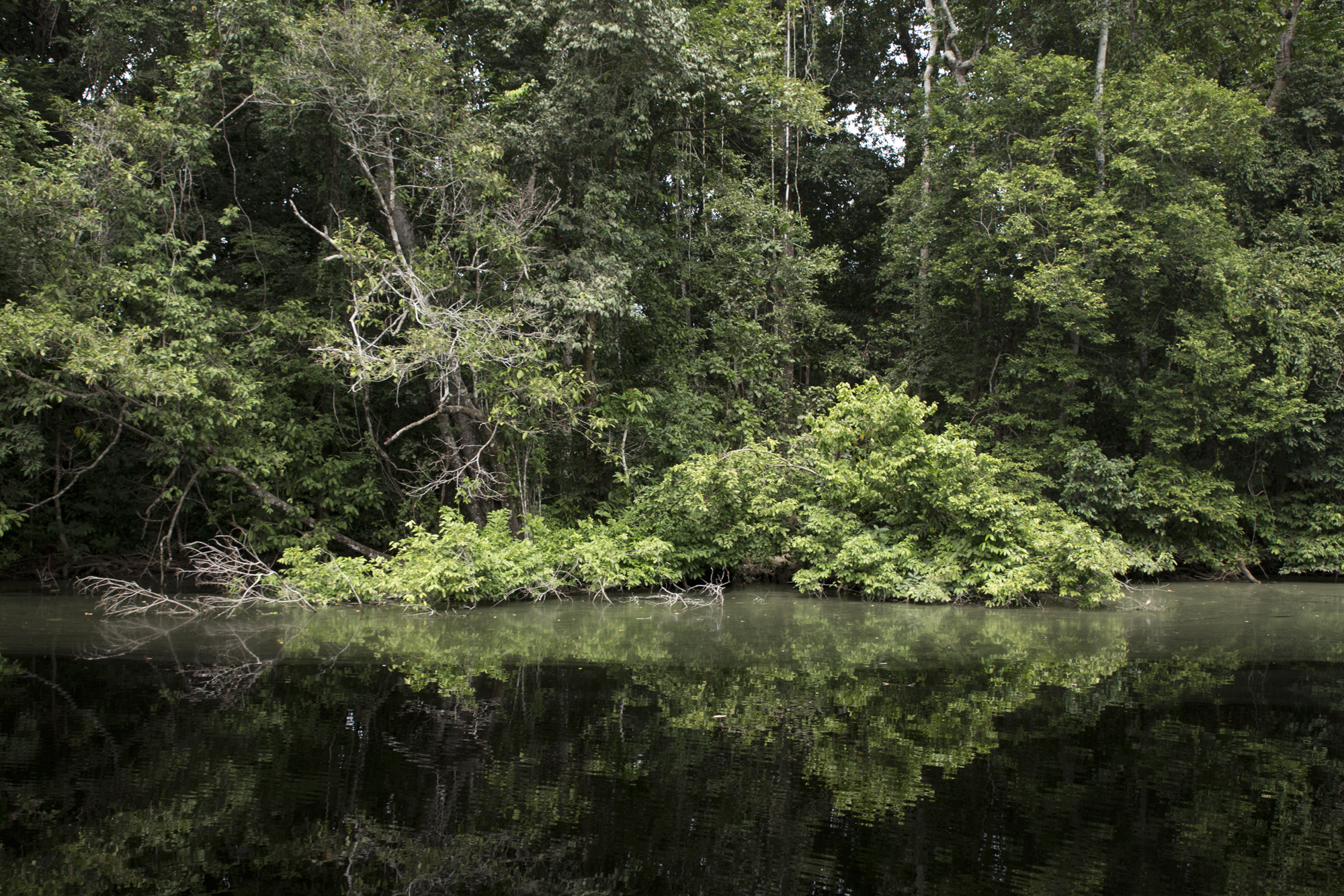 Gabon - Rivière Mpivie - www.paperboat.fr