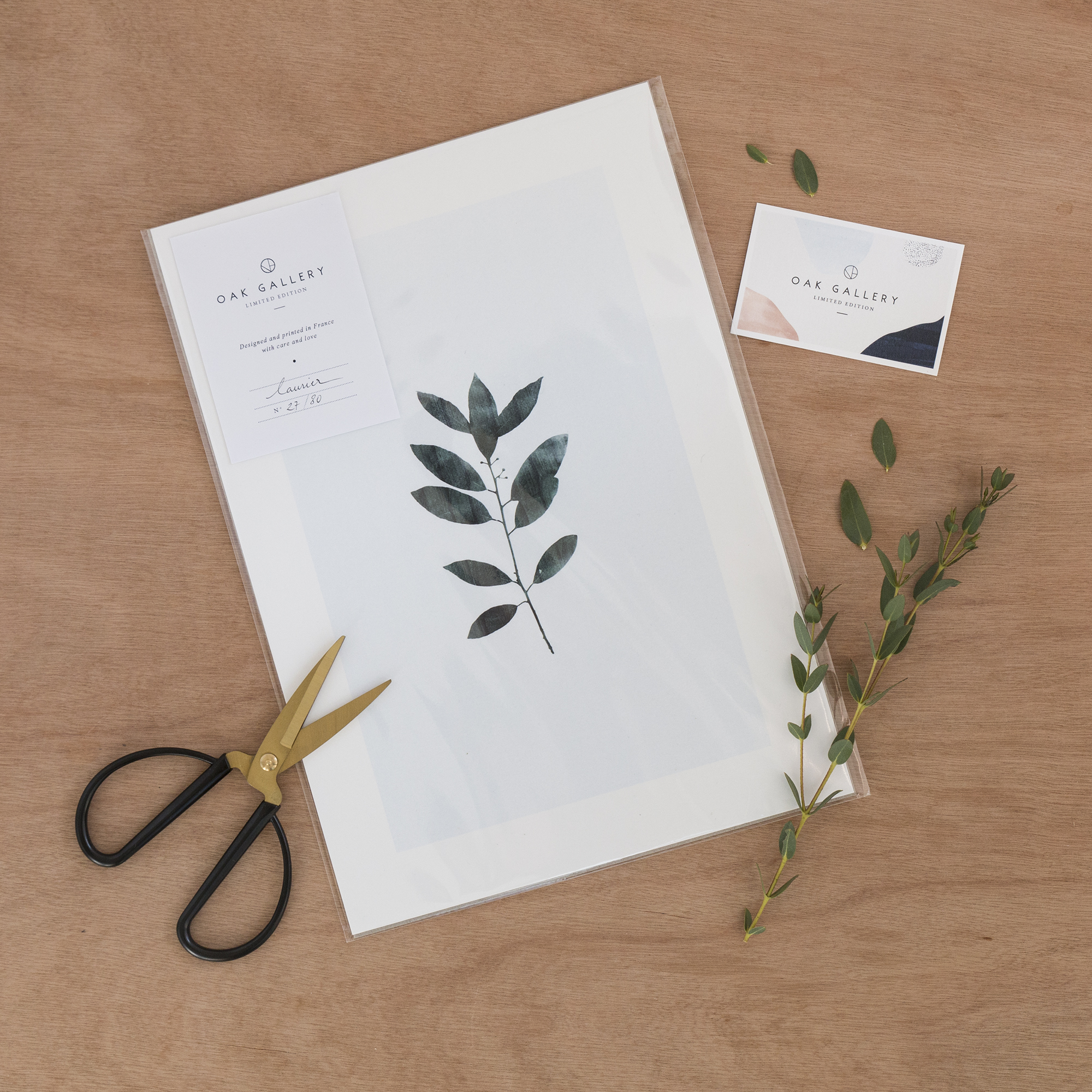 Oak Gallery - www.paperboat.fr