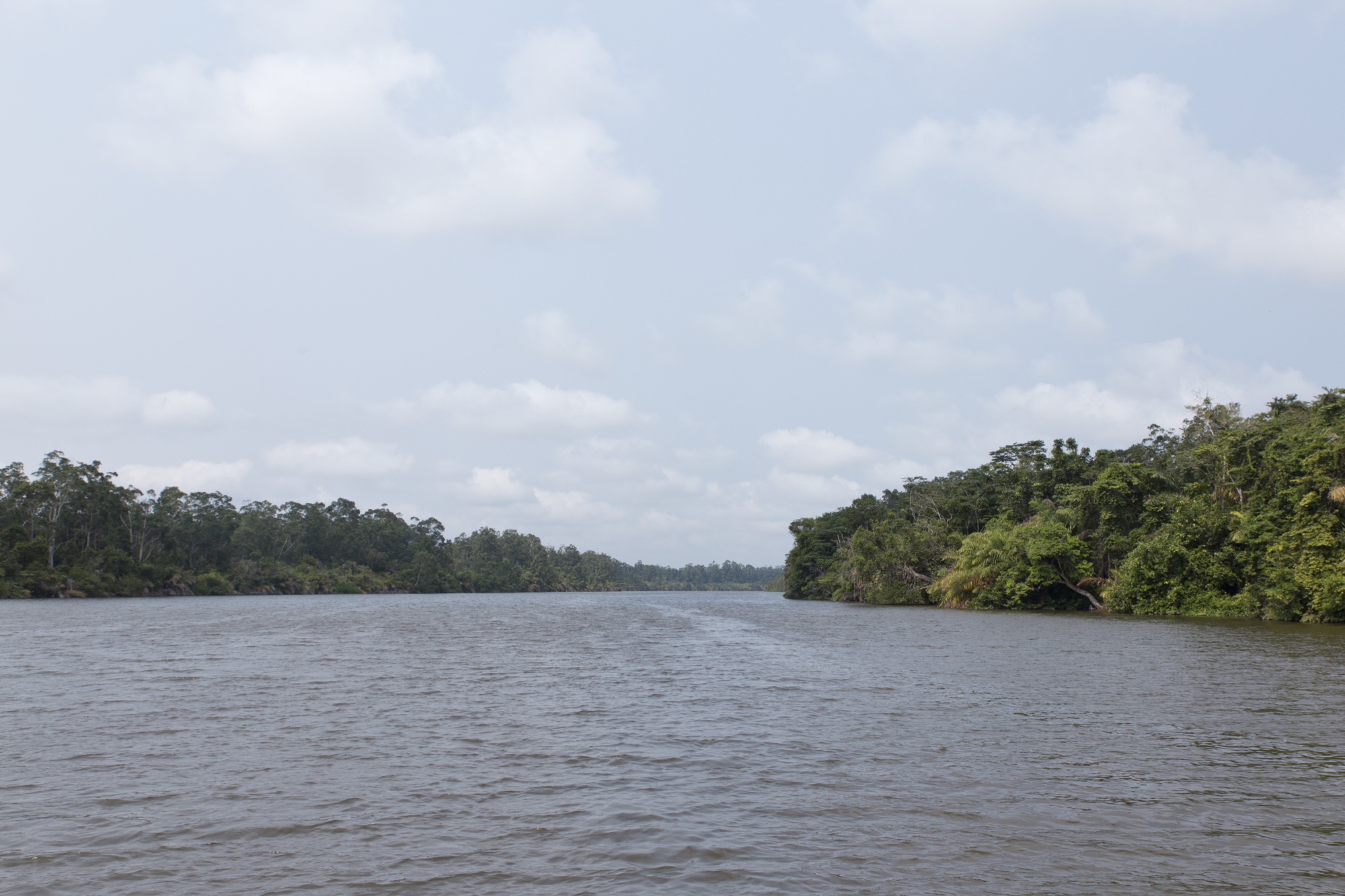 Gabon - Ogooué - www.paperboat.fr