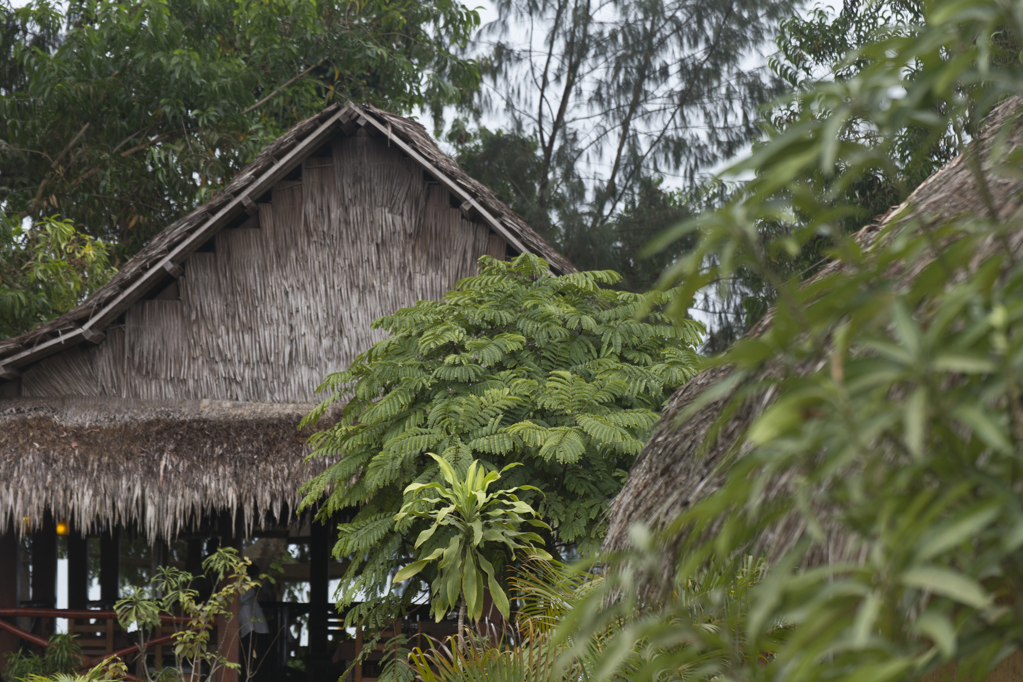 Gabon - Hôtel la baie des tortues - www.paperboat.fr