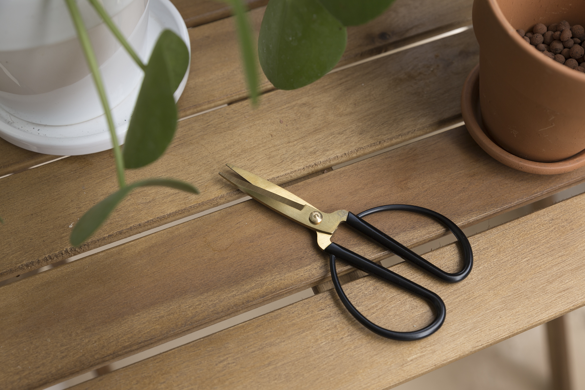 DIY - Boutures Pilea - www.paperboat.fr