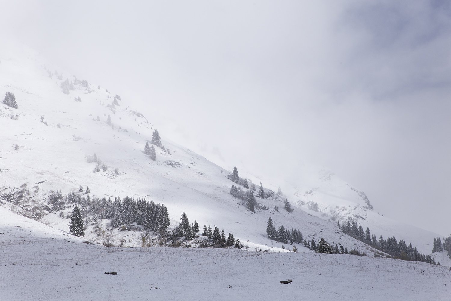 Col des Aravis - 23 octobre 2017 - www.paperboat.fr