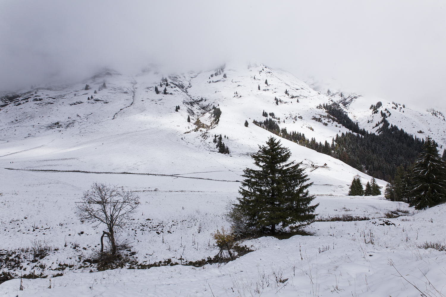 Col des Aravis - 23 octobre 2017 - www.paperboat.fr