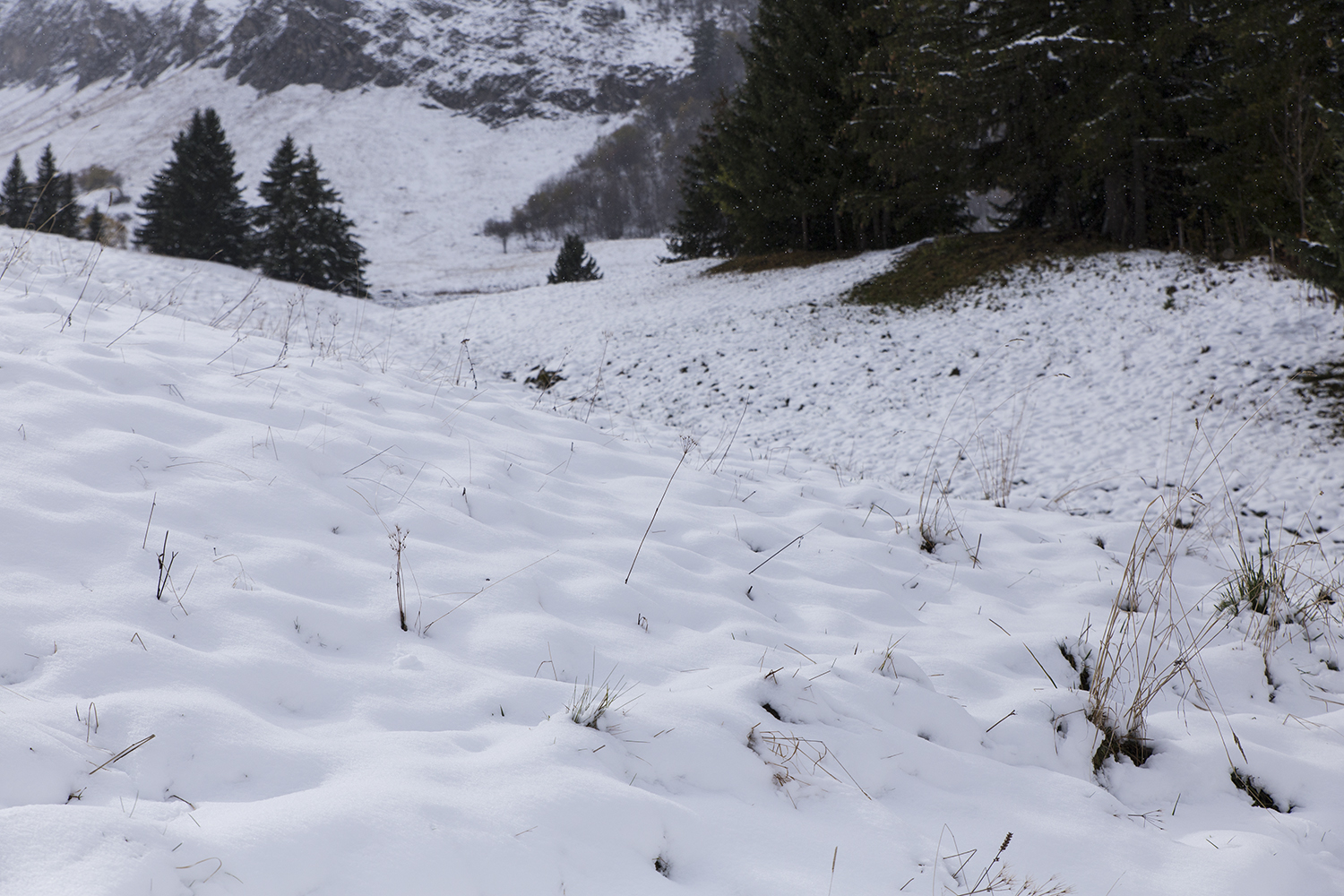 Col des Aravis - 23 octobre 2017 - www.paperboat.fr