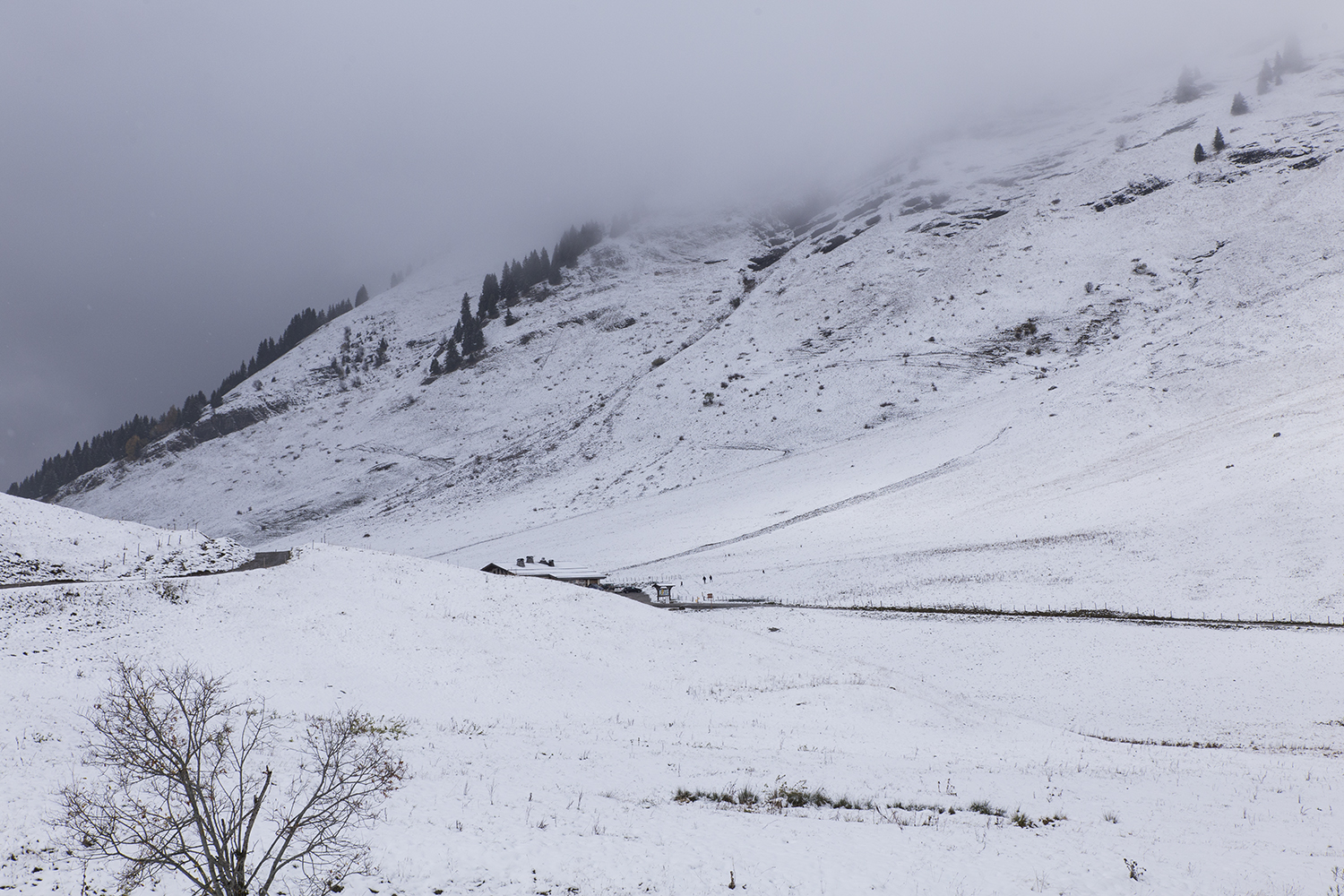 Col des Aravis - 23 octobre 2017 - www.paperboat.fr