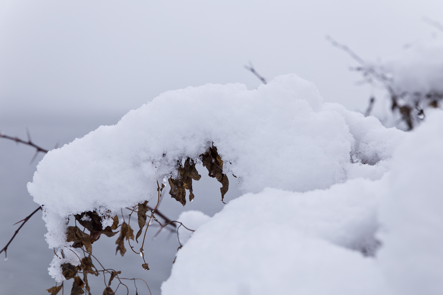 La neige à Annecy - www.paperboat.fr
