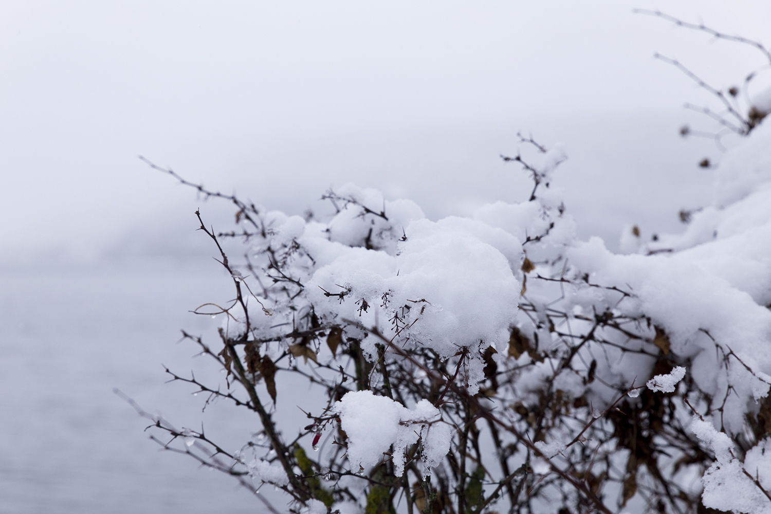 La neige à Annecy - www.paperboat.fr