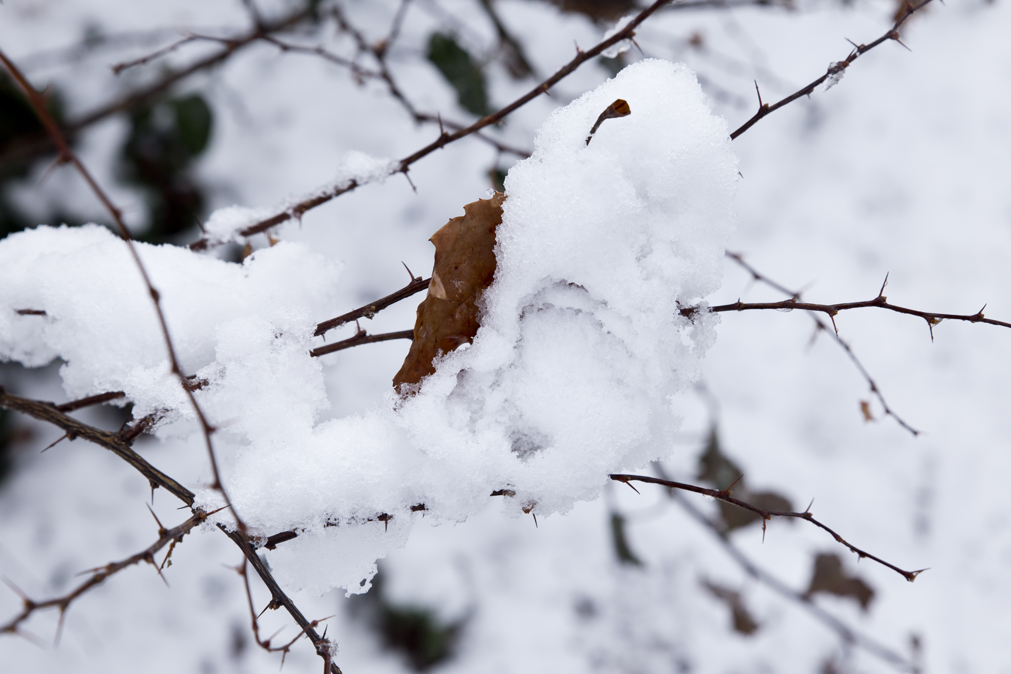 La neige à Annecy - www.paperboat.fr