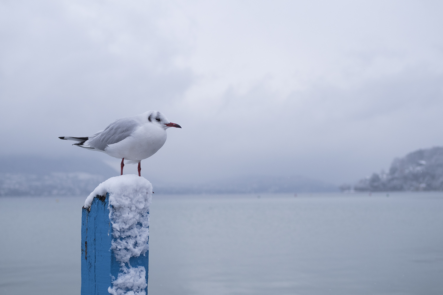 La neige à Annecy - www.paperboat.fr