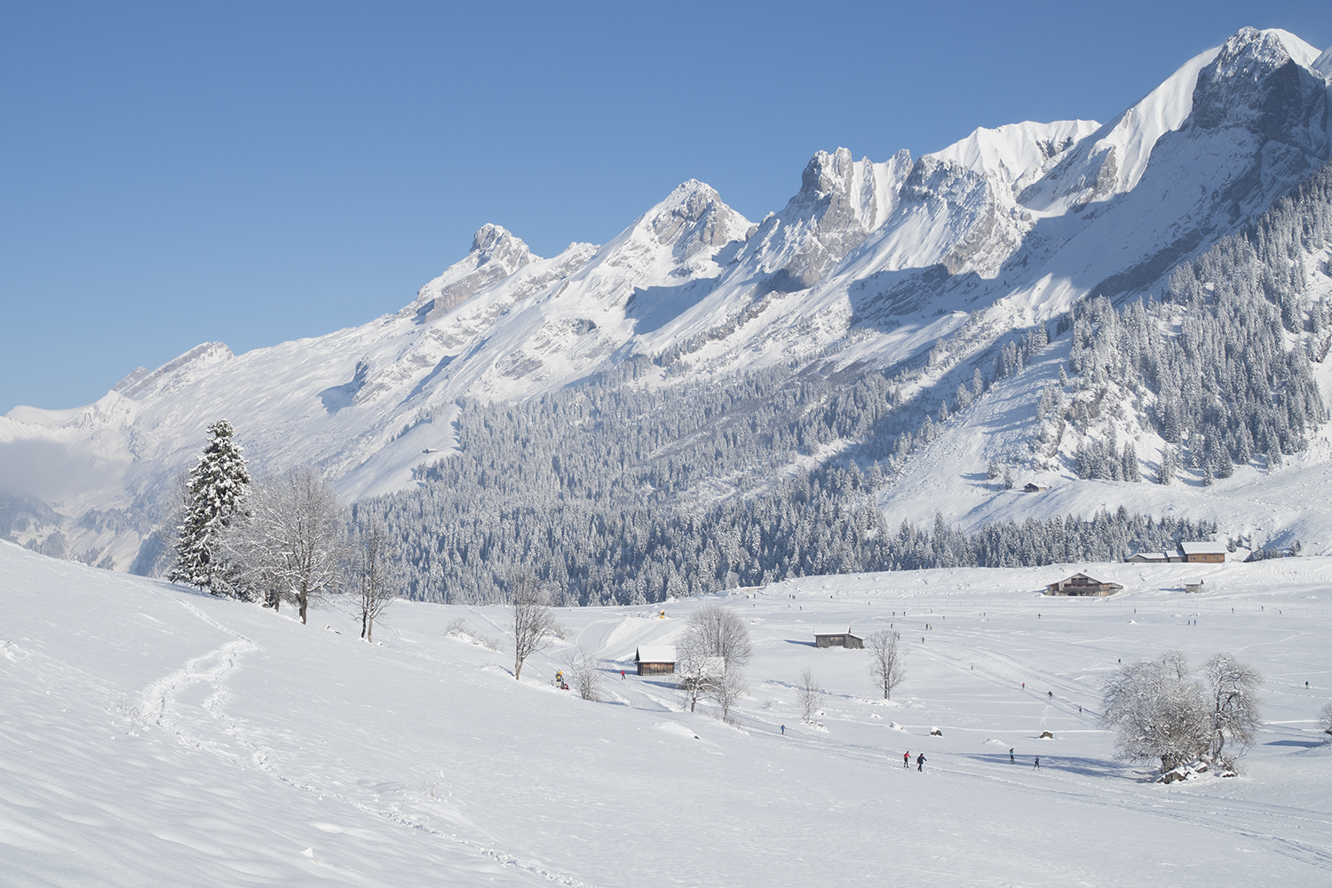 Randonnée Tête du Danay dans la neige - www.paperboat.fr