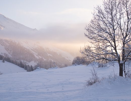 Randonnée Tête du Danay dans la neige - www.paperboat.fr