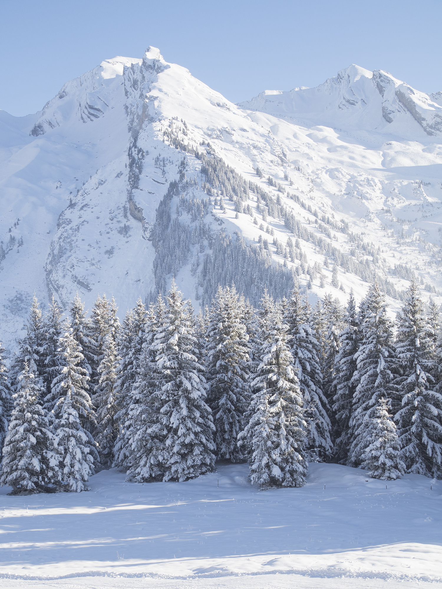 Randonnée Tête du Danay dans la neige - www.paperboat.fr