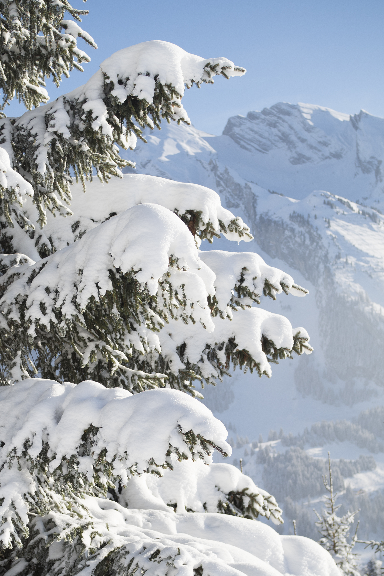 Randonnée Tête du Danay dans la neige - www.paperboat.fr