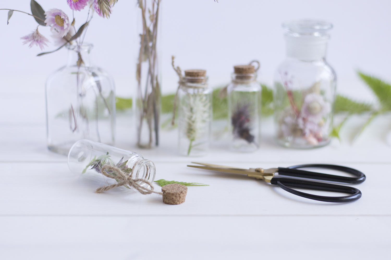 DIY Herbier - www.paperboat.fr