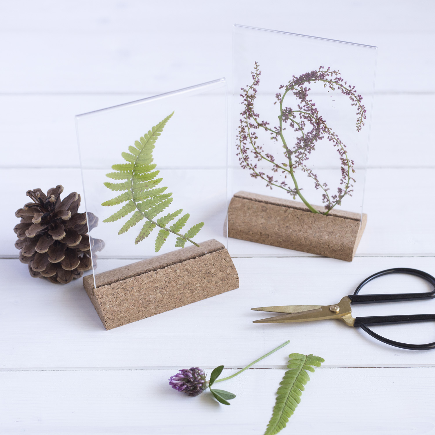 DIY Herbier - www.paperboat.fr