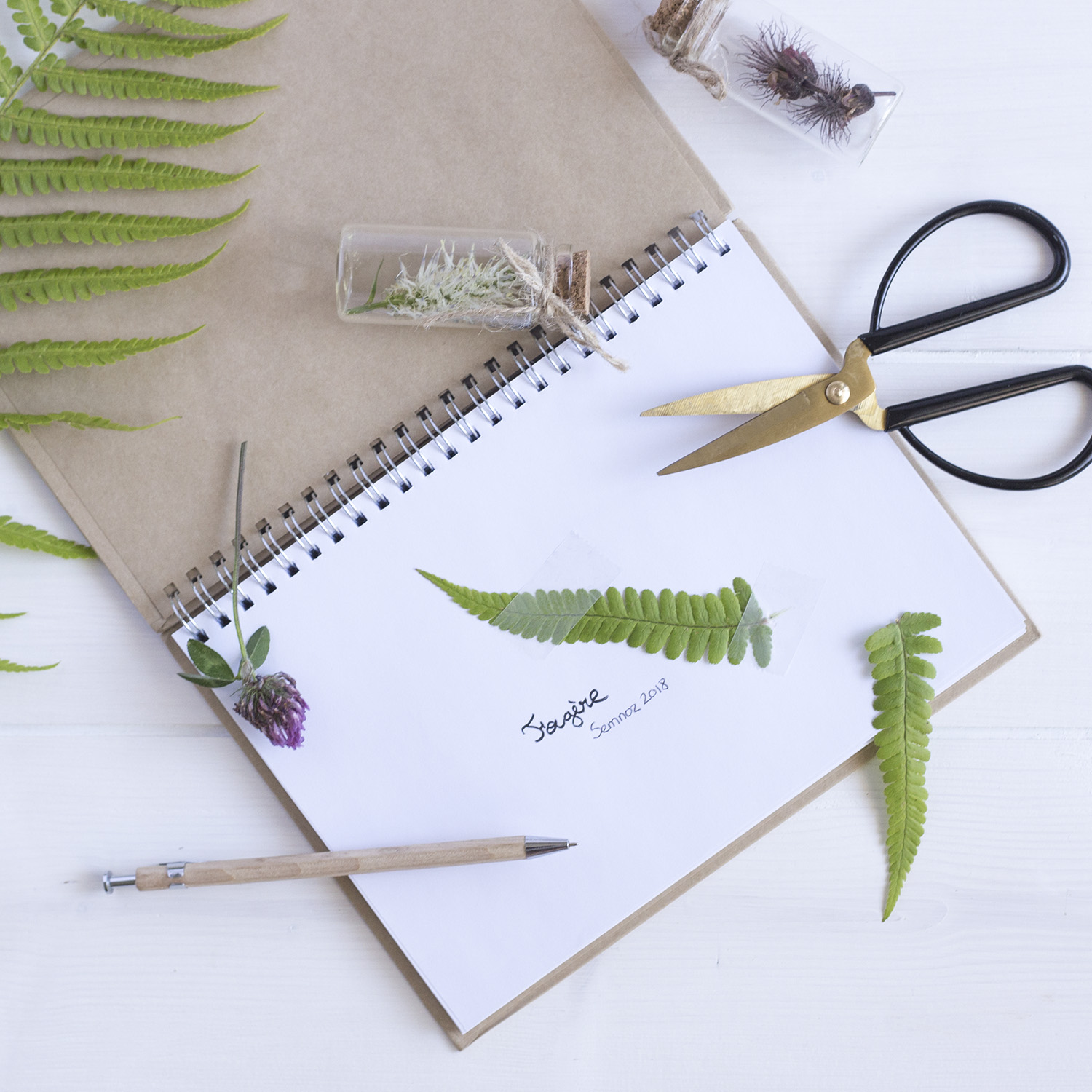 DIY Herbier - www.paperboat.fr