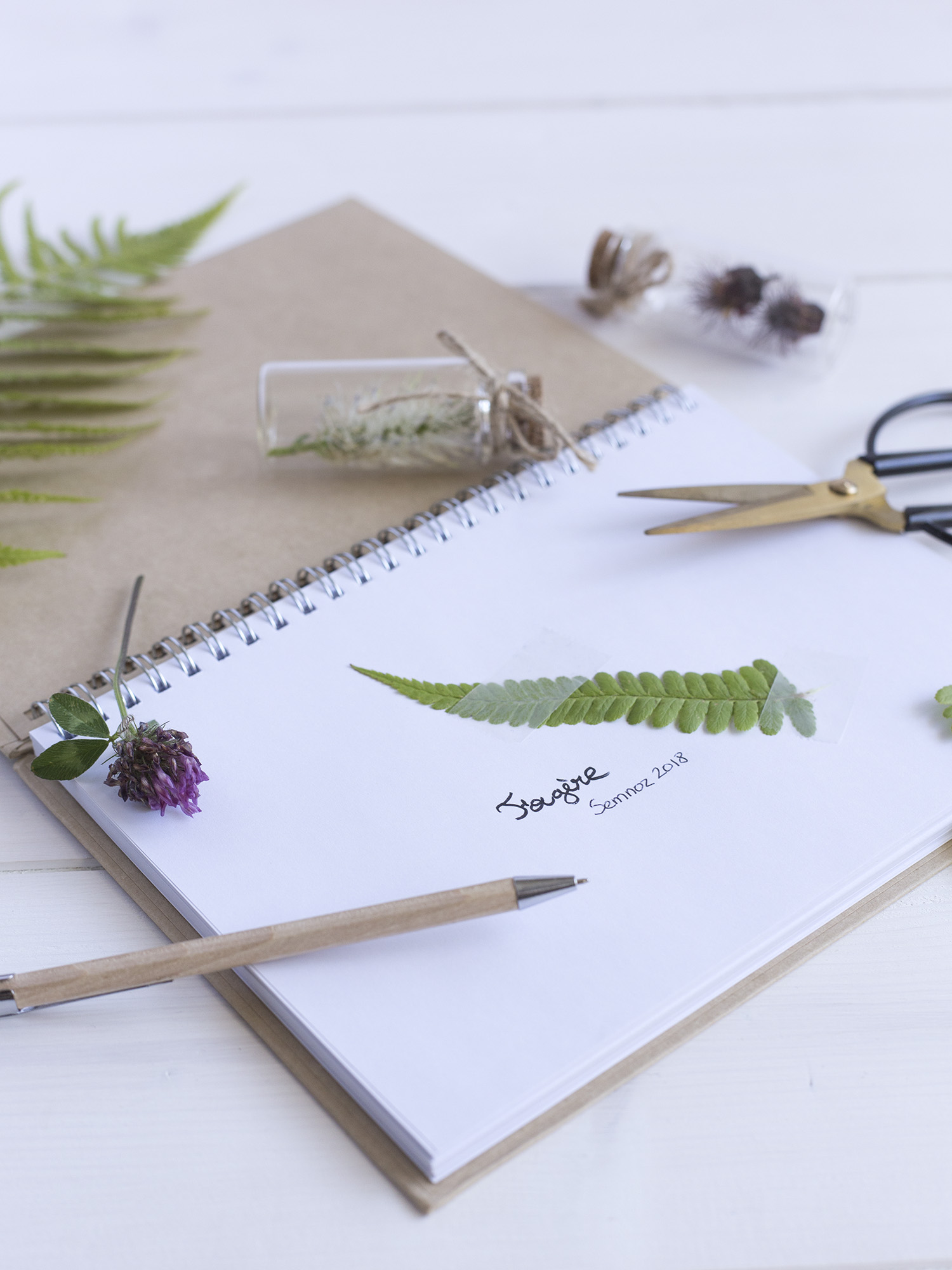 DIY Herbier - www.paperboat.fr