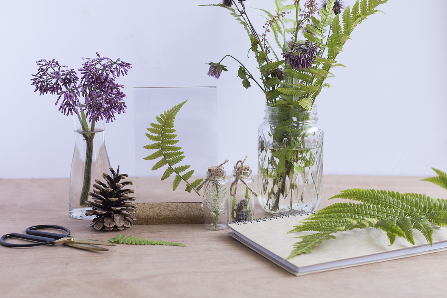 DIY Herbier - www.paperboat.fr