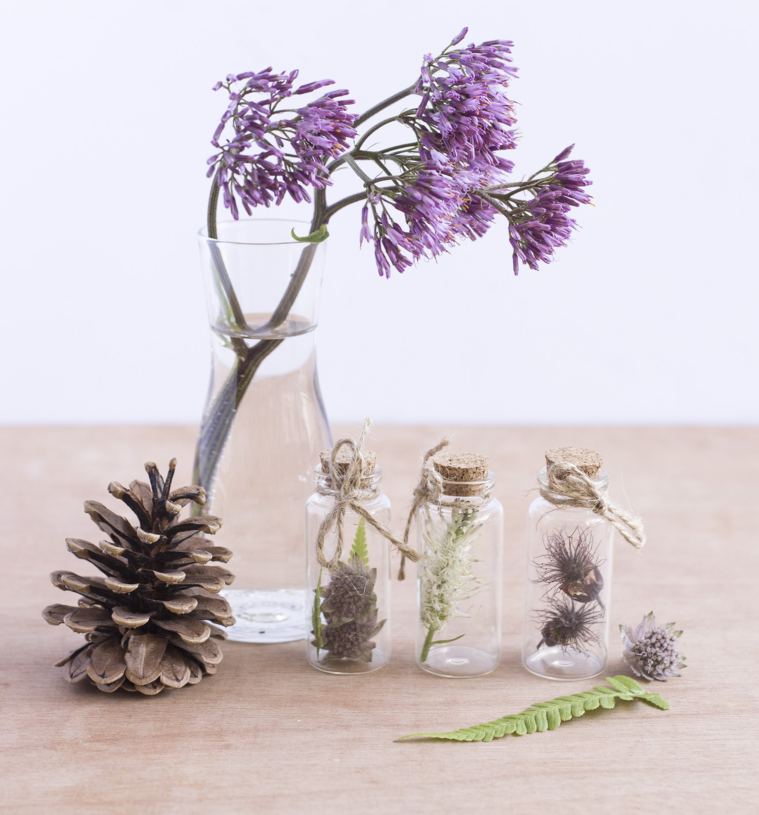 DIY Herbier - www.paperboat.fr