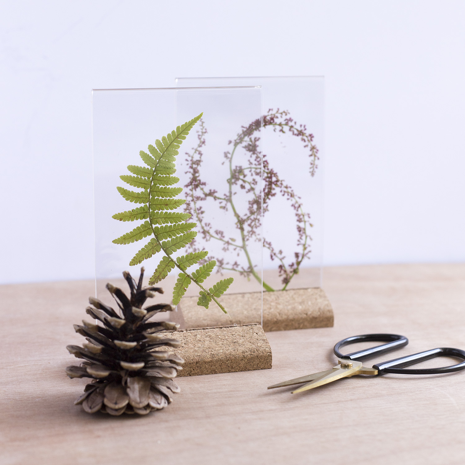 DIY Herbier - www.paperboat.fr
