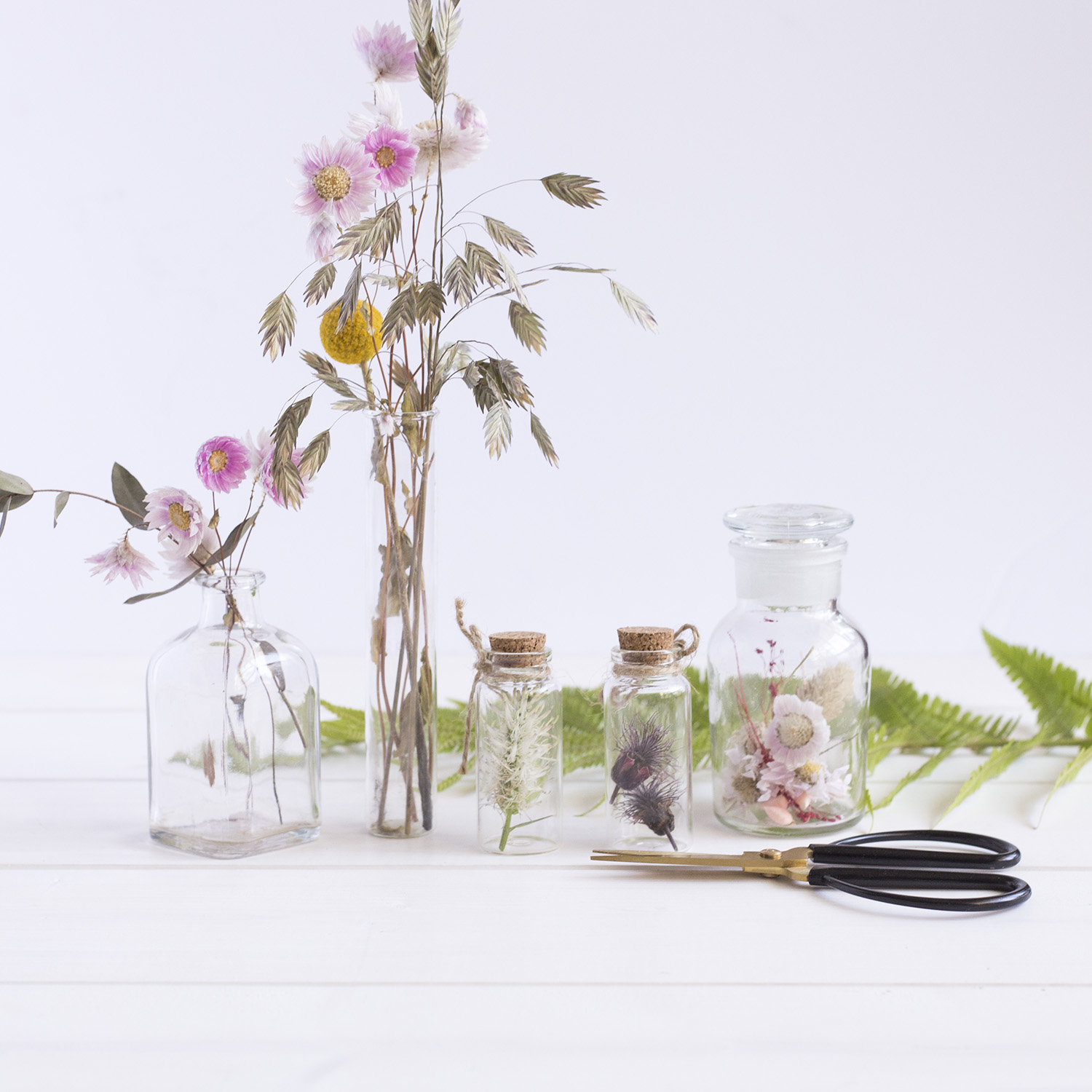 DIY Herbier - www.paperboat.fr