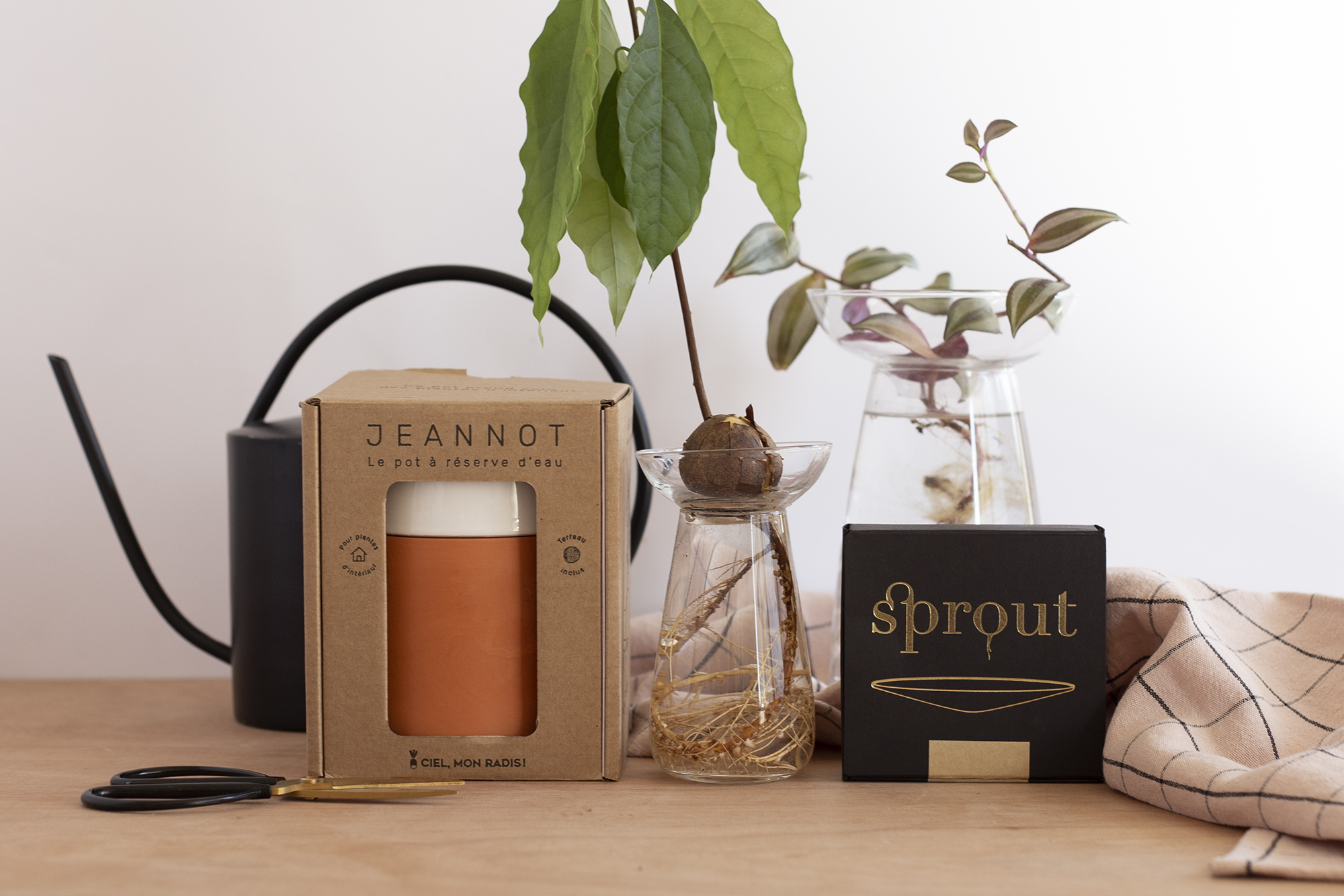 Faire pousser en intérieur - www.paperboat.fr