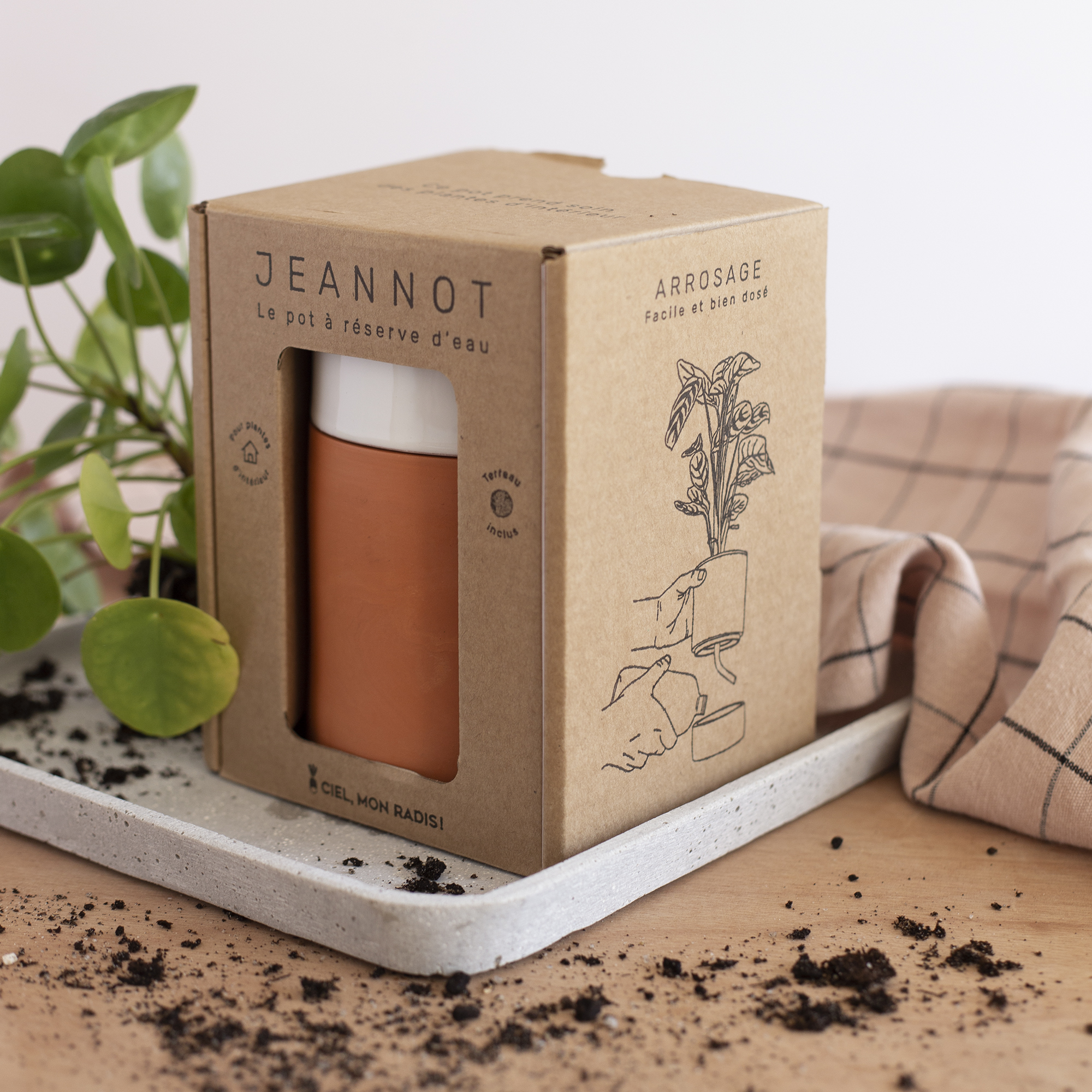 Jeannot - Ciel mon radis ! - www.paperboat.fr