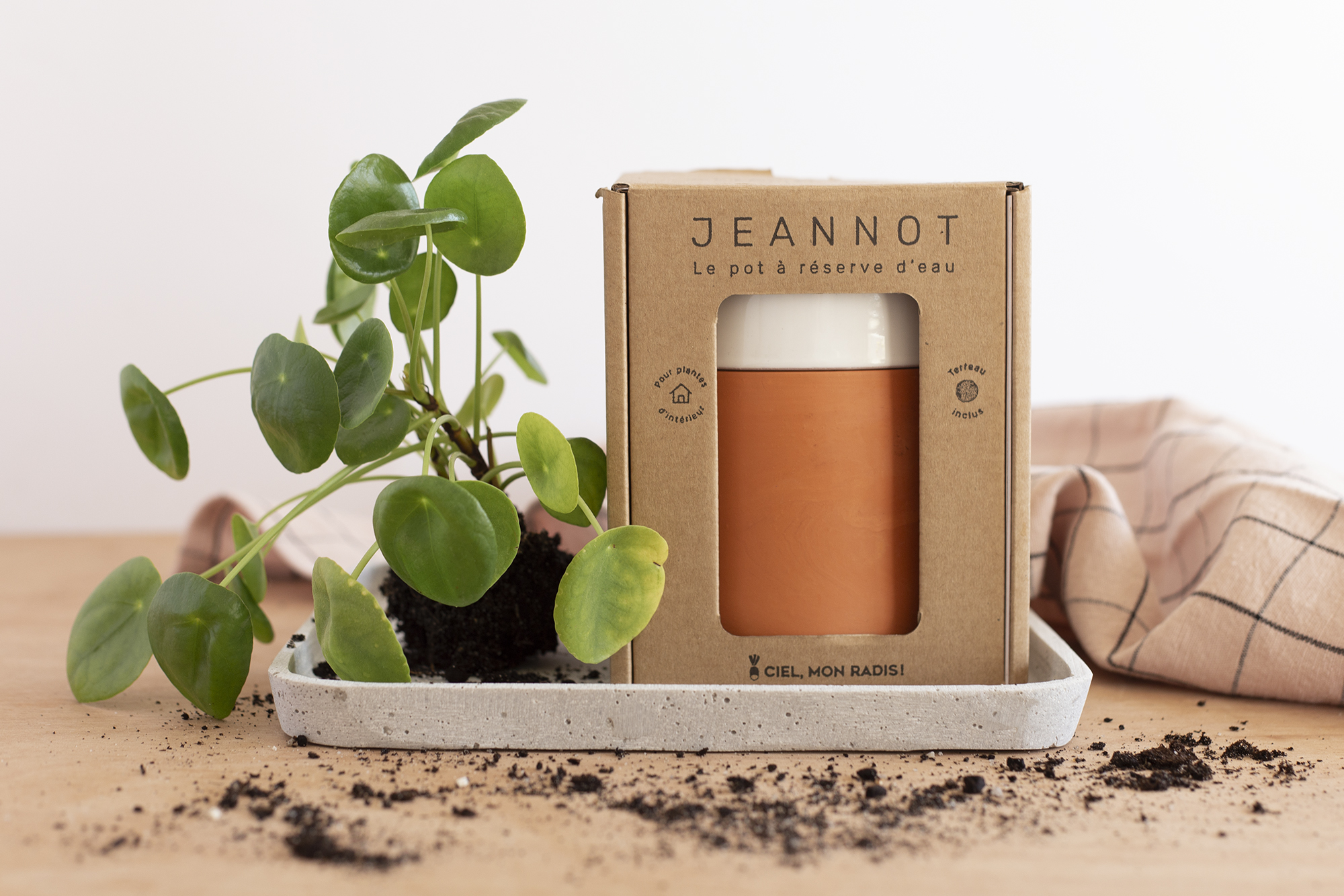 Jeannot - Ciel mon radis ! - www.paperboat.fr