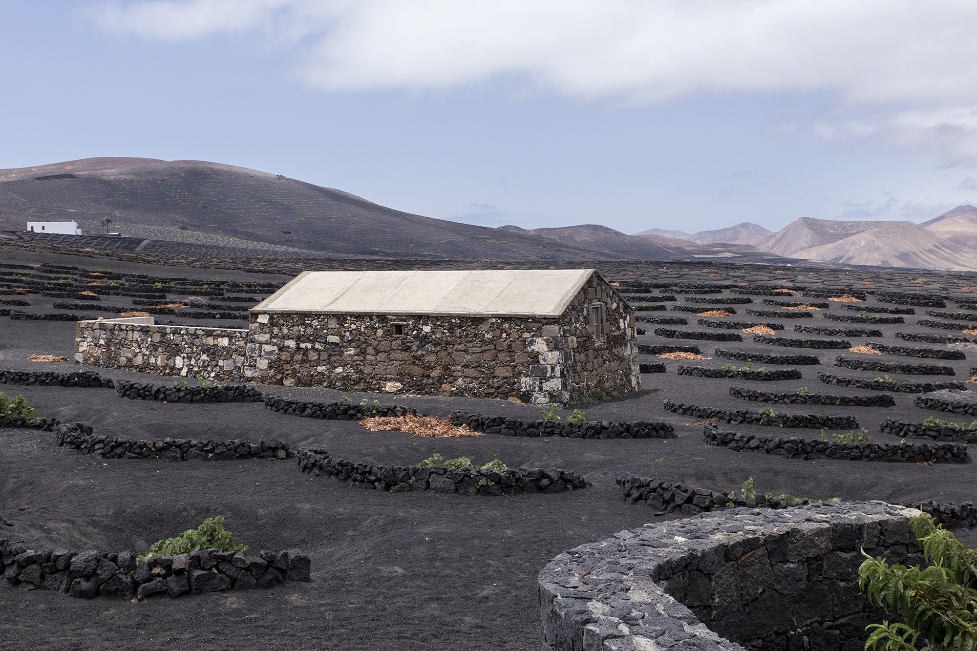 une semaine à Lanzarote - www.paperboat.fr