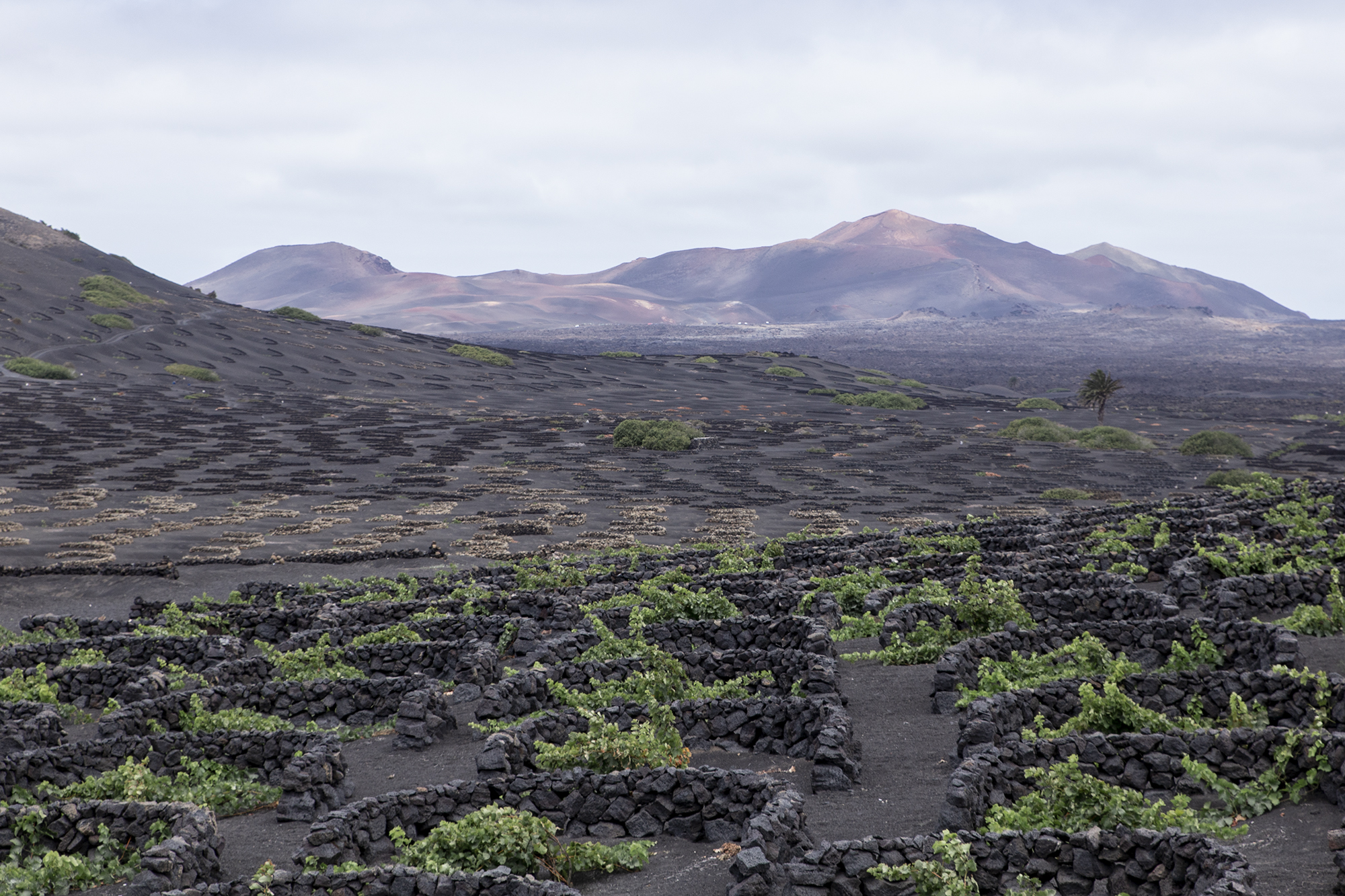 une semaine à Lanzarote - www.paperboat.fr