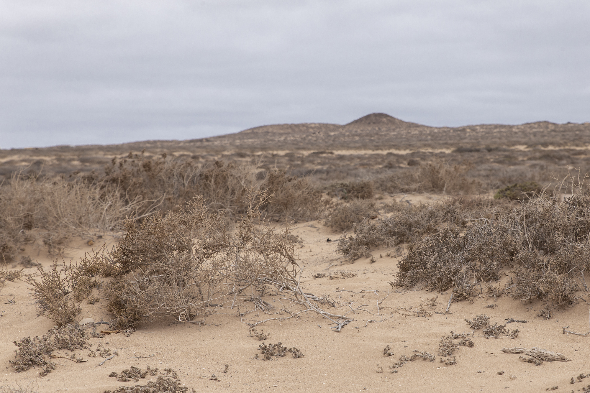 une semaine à Lanzarote - www.paperboat.fr