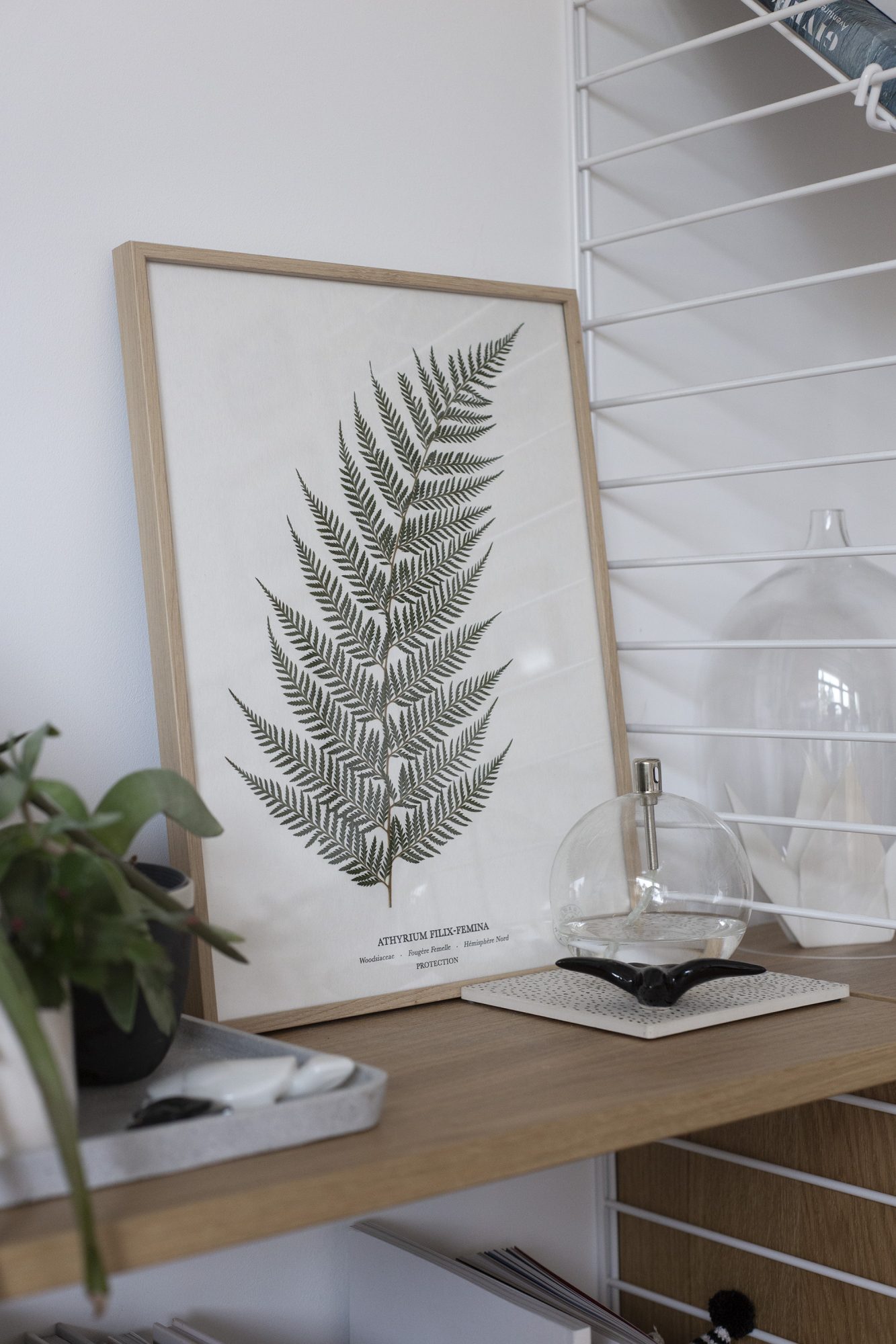 herbarium - www.paperboat.fr