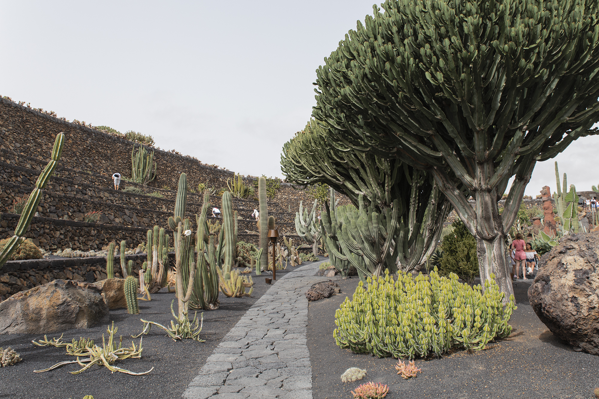 une semaine à Lanzarote - www.paperboat.fr