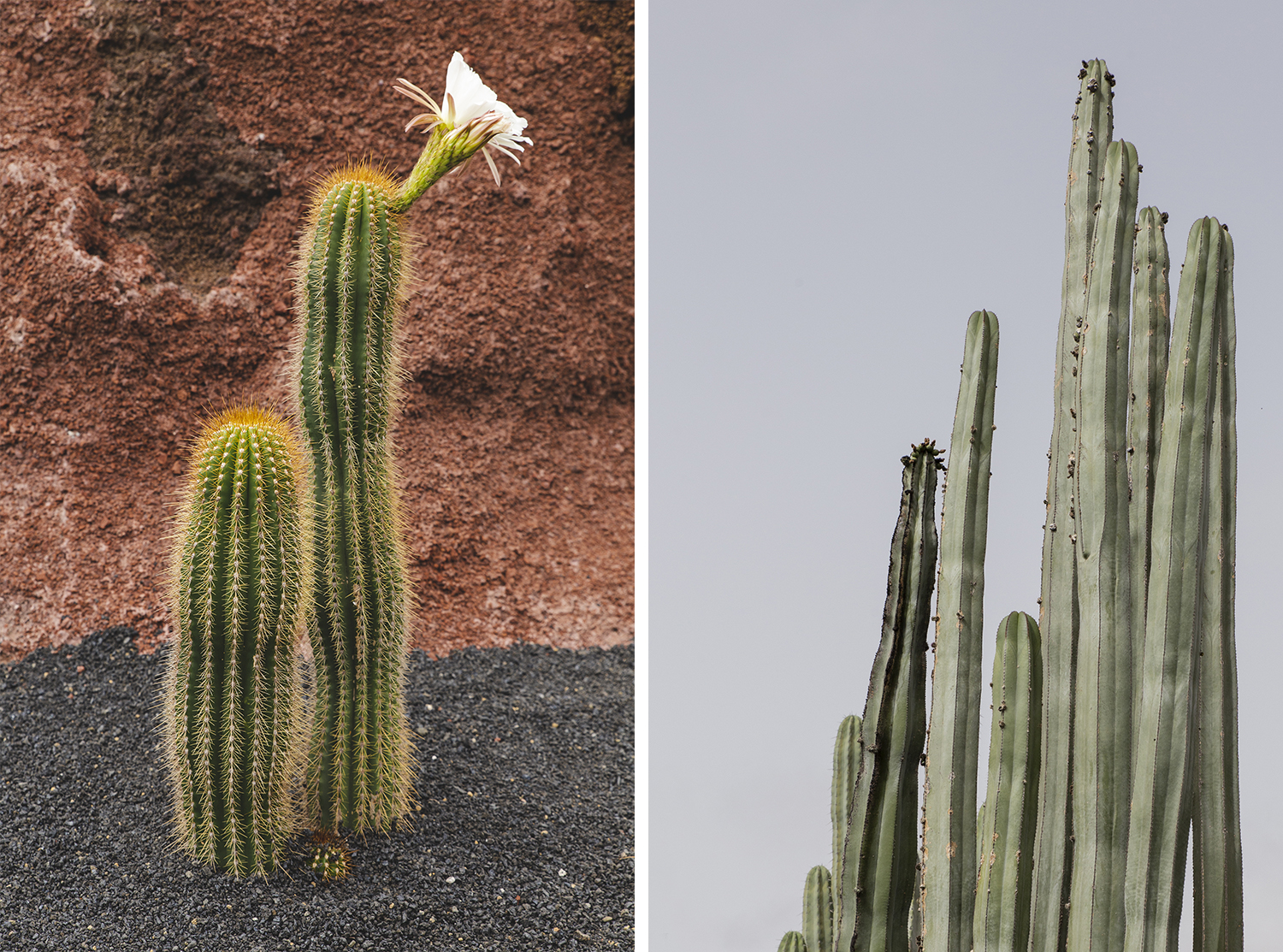 une semaine à Lanzarote - www.paperboat.fr