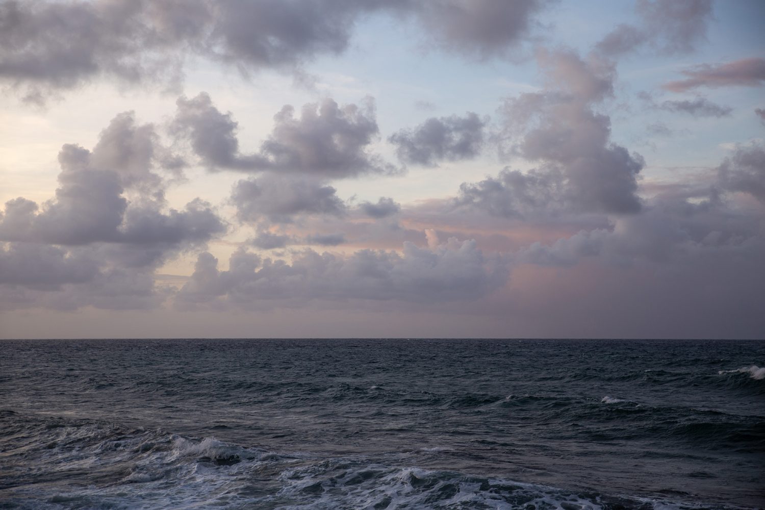 Martinique - Grand Rivière - www.paperboat.fr