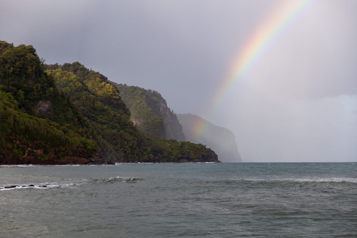 Martinique - Grand Rivière - www.paperboat.fr