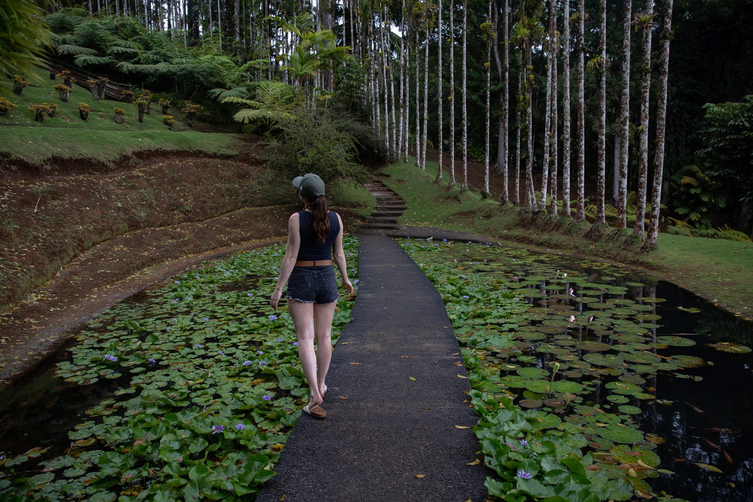 Martinique - Jardin de Balata - www.paperboat.fr
