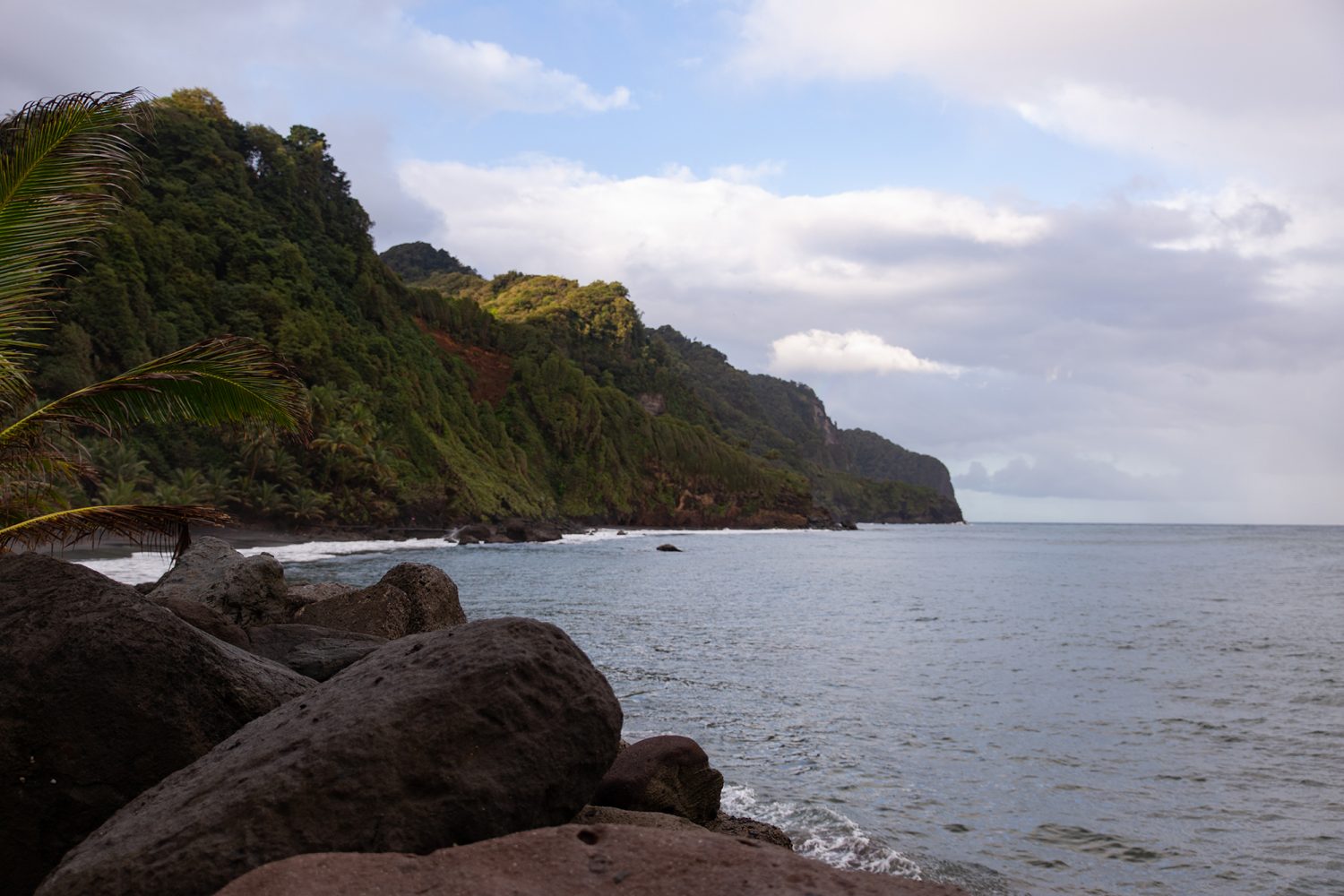 Martinique - Plage Grand Rivière - www.paperboat.fr