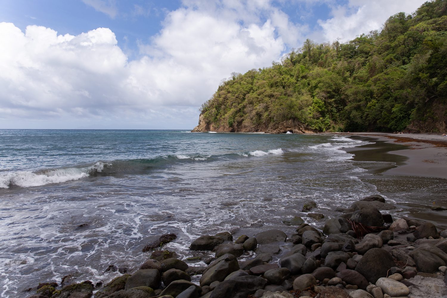 Martinique - Plage Grand Rivière - www.paperboat.fr