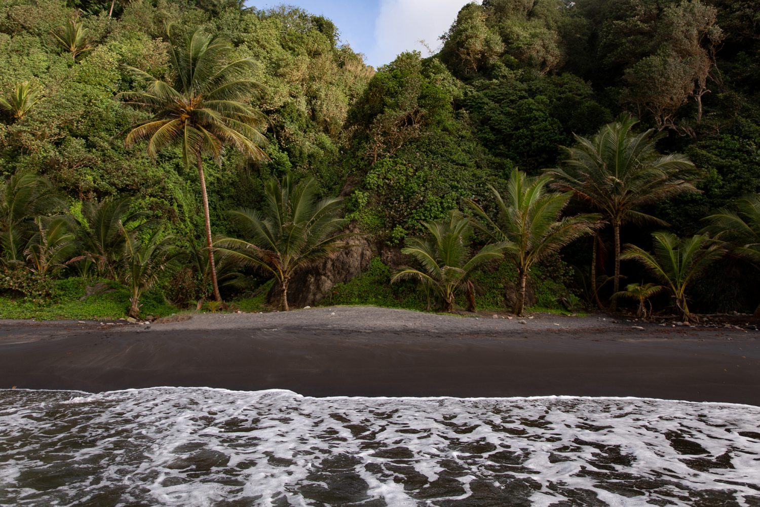 Martinique - Plage Grand Rivière - www.paperboat.fr