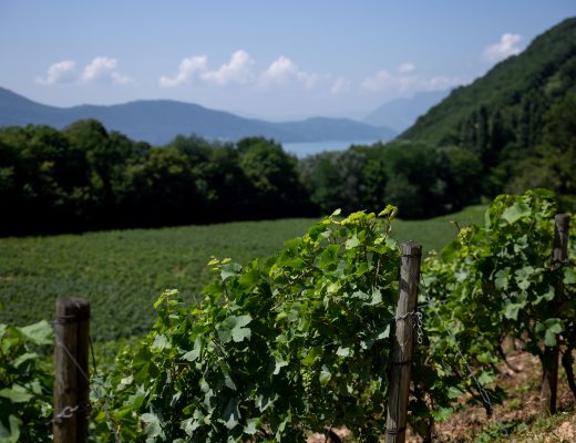 Vins de Savoie - www.paperboat.fr
