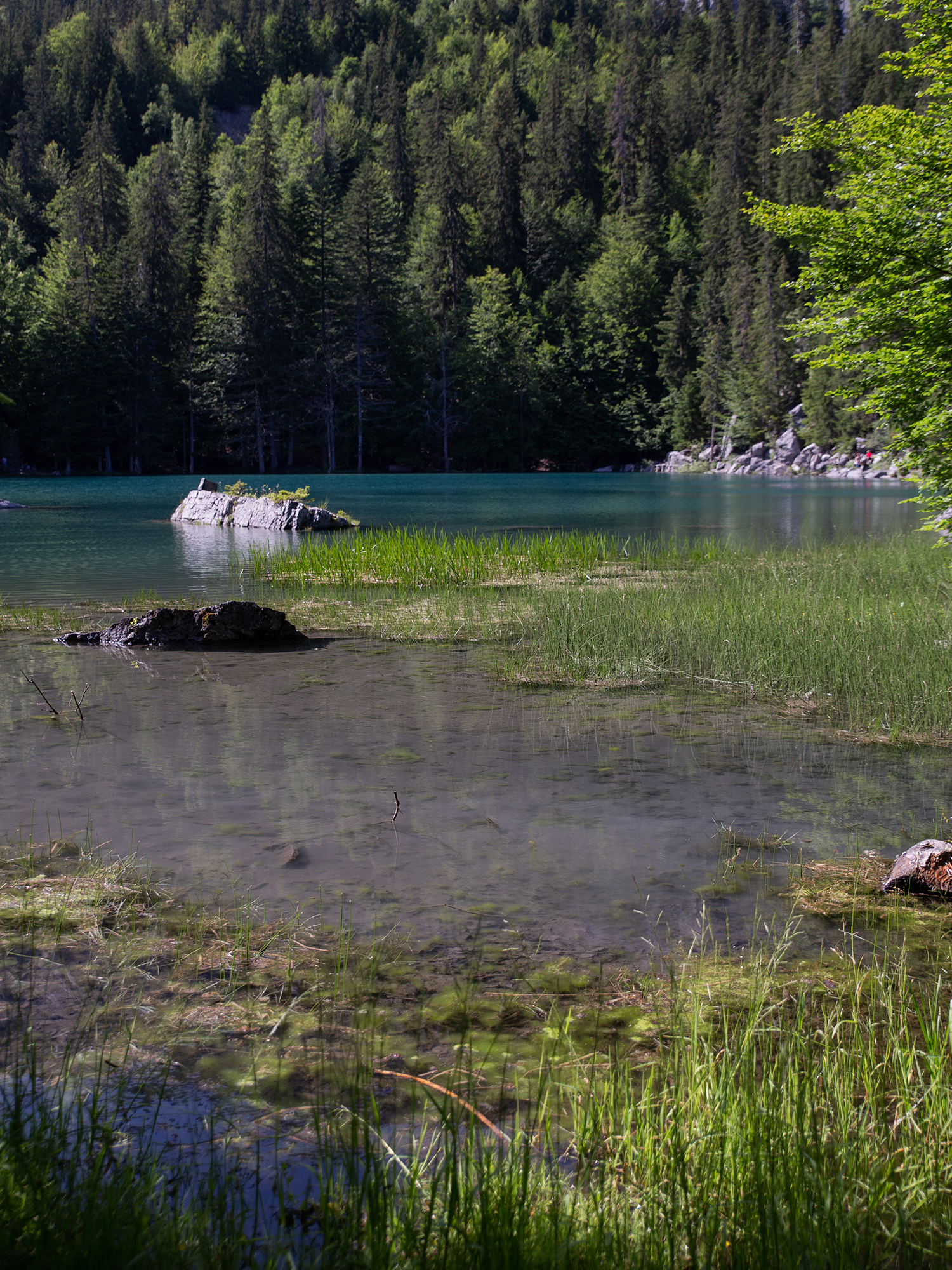 Lac vert Passy - www.paperboat.fr