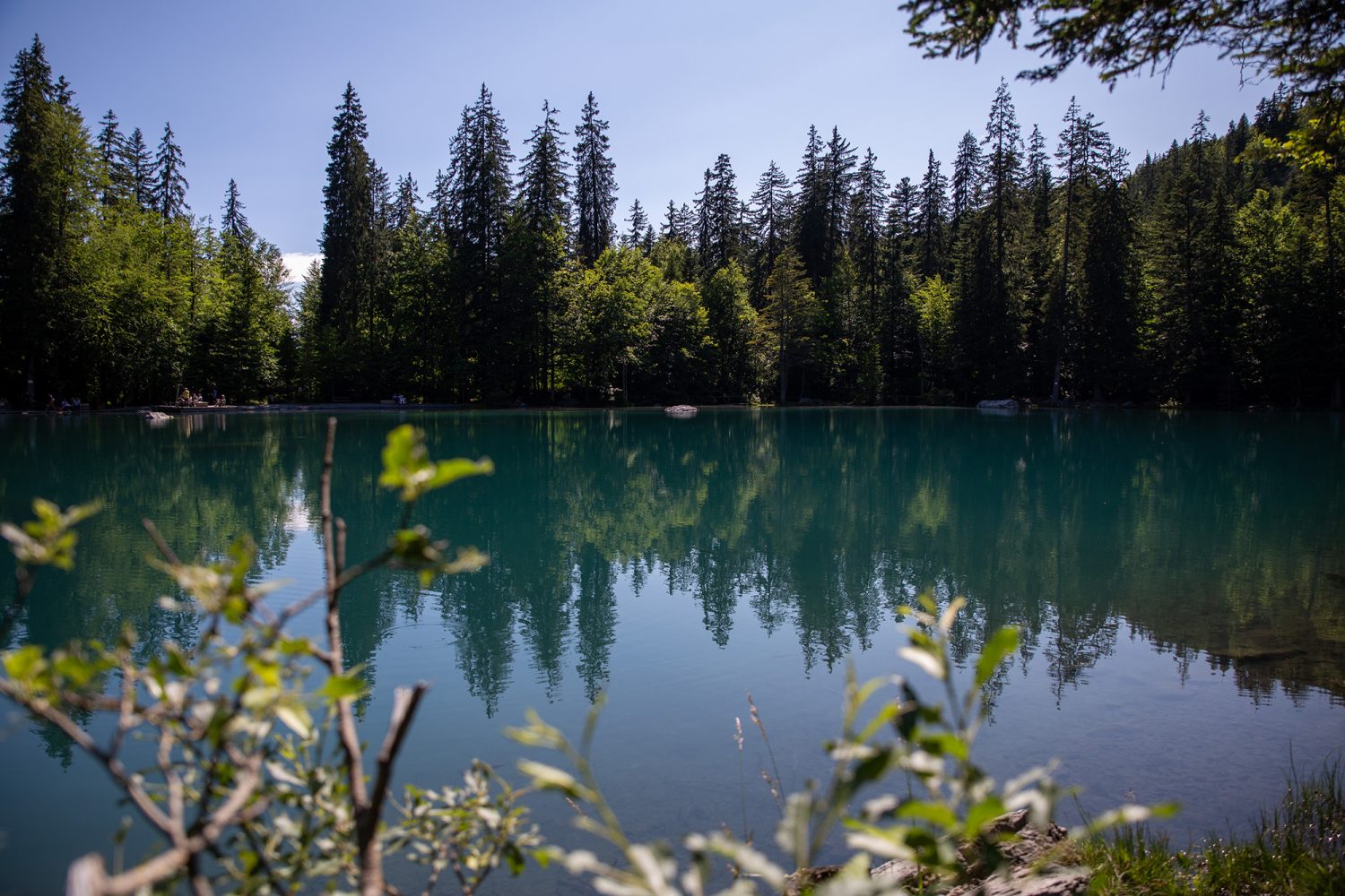 Lac vert Passy - www.paperboat.fr